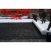 2公分3公分蓄排水板（HDPE）凹凸屋面种植排水板