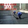 3公分绿化排水板*许昌楼顶花园排水板(防水阻根排水板)