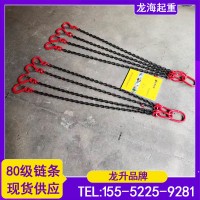 北京韩国迷你环链电动葫芦MN-150定制链条长度龙海起重工具